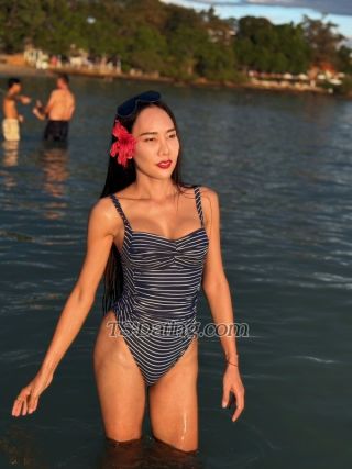 trans girl Chana99 5304656