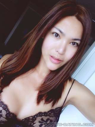 trans girl Chanelgoddes 7408536 trans girl Chanelgoddes 7408536