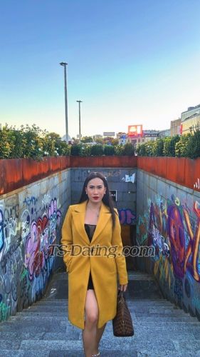 trans girl CherryLee 2287884