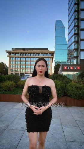 trans girl CherryLee 2288218