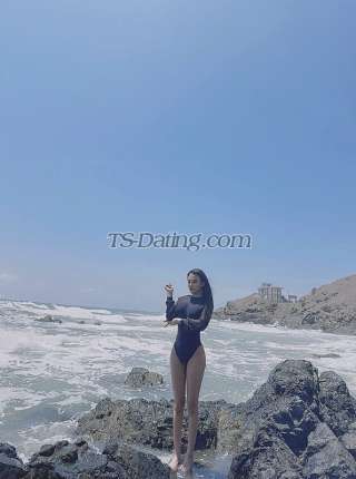 trans girl CherryTran 0829961 trans girl CherryTran 0829961