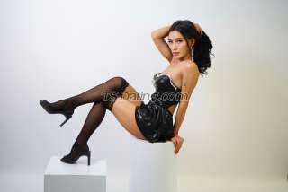 trans girl Chieralee 8204486