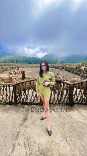 trans girl Ciciamoy 4144373