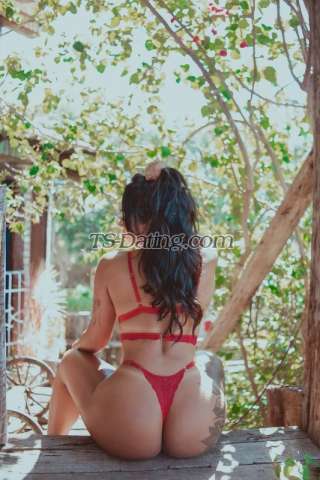 trans girl Cindilii 5778345