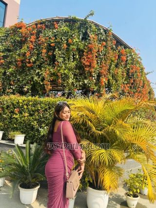 trans girl Cindrella13 5165735