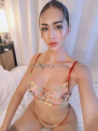 trans girl Cindyhhh1133 7049722 trans girl Cindyhhh1133 7049722