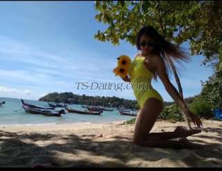 trans girl CintaCindy 2324195