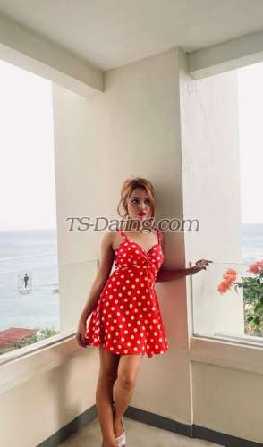 trans girl Cjeny 2615723 trans girl Cjeny 2615723