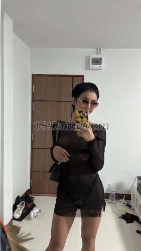 trans girl Contactbella 9045399 trans girl Contactbella 9045399