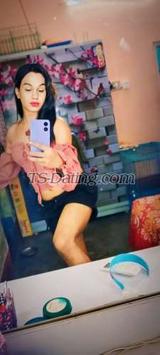 trans girl Crystalkaya 8468194 trans girl Crystalkaya 8468194