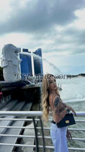 trans girl CumReloader 9788097