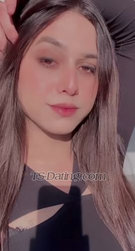 trans girl Cuteamelia 2706305