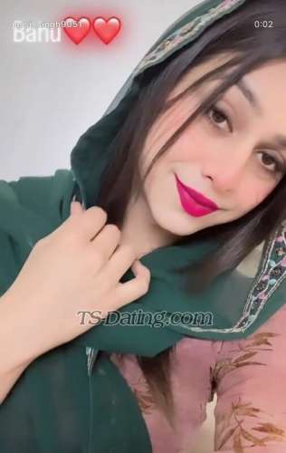 trans girl Cuteamelia 2932380