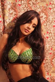 Cutejui899 Delhi Transex I am jui 21 year fresh shemale with flexible body💋
Height 5`8  
Natural fair skin neet nd clean body
Hair colour i golden brown 
 
📍all details please call me 91374113126😊

All time active on WhatsApp 📱

High profile versatile shemale with a bug dick for you guys👸🏻

Experienced: 
♥️Cam show
♥️ Phone sex 
❣️ Erotic romance 
❣️ANAL and oral 
❣️BDMS
❣️Over night party
❣️Travel world wide
❣️ Girlfriend experienced
❣️ Video Call service with well dressed as you wanted 
❣️I am versatile Top and Bottom 
❣️CD session 
❣️At my place or at your place text me

Ready to full fill your all desire 😉,

Believe in satisfaction and trust and fun whats your really coming to this site,
Love to do party, night out session, long drive, outing for long week as like your girlfriend, 

ready to serve you all my goodness with trust 💖 

Group fun and one to one session 🥰

Waiting to have great fun with Happy endings ❤️ 