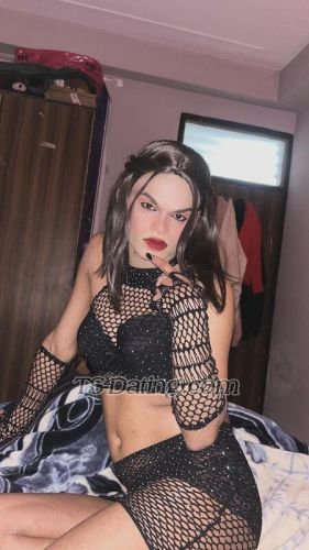 trans girl Cutejuliee 8864939