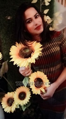 trans girl Cutekitty 8788273