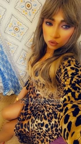 trans girl Cyliacylia 3265710