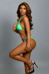 chixdelighTS Central Transex I am an epitome of radiated intelligent beauty. My eye's is
were drawn to the golden river that gently caressed its way
down to your neck. My skin glistening with a sensual sweat
that slides upon like a silk in your legs. I am a perfect
sketch of beauty and class. And if the gods are real, then i
am their masterpiece.The time you with me is like
heaven you will lay upon a soft feather mattress, and we
will definitely cocooned ourselves in the silk sheets. No
rush and all pleasure sensual time for us. Intimacy is my
favorite game and you will surely love to play. 
Eurasian Babe just arrived Hong Kong for  short
visit Only!Fresh, Creamer and
bolder...✔️✔️ Safe and Clean Sex (No BB &
No CiM)✔️✔️ Disease Free (Updated
Test)✔️✔️ Proper Hygiene is a must
✔️✔️ All picture are 100% real (No sending of
pics) ✔️✔️ No Dick Picture
Collector✔️✔️ Video Calls are only welcome for
my regular clients✔️✔️ For Serious Takers Only
My rates don't change whenever i go...
Don't be rude just be nice and i can consider some
offer. If you want to know me better feel free to
hit me
up:Call/SMS/Imessage/Signal/Whatsapp/Viber
+852 5468 9695Telegram: @itsmeLEILAWeChat:
itsmeLEILAPIRESLine: itsmeleilapiresEmail:
itsmeleila26@yahoo.comxoxoLeila