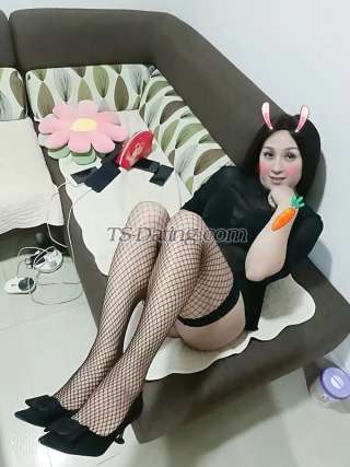 trans girl chnsexycat 6430727 trans girl chnsexycat 6430727