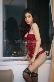 chonrada Centre Transex Hi my name is Jessie 26 year old,, im nice and pretty
naughty ladyboy 😜. My penis size 6” i can do top and
bottom,, i can do good of massage for you have a special
time☺️ Im nice and good service just call
me**Hard Strong Good Top😊**Naughty Bottom
**Hard nice big Dick and huge 🤭 **Big load
cum💦💦✅on prep✅✅ Heathy Check✅ 
✅ Test blood ✅ ✅HIV Negative ✅✅ Syphilis
Negative ✅Im here not for play any
gameHope to hear from you guy kisses ****My
Telegram is @chonrada****My Wechat ID Chonrada58
****My line ID  Nanthima59