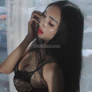 trans girl claura 4583647