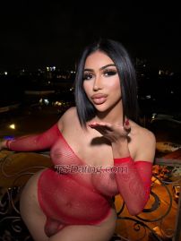 coco rim69 Pattaya Transex line :
whatapps :
wechat
Telegram :
____________________
Hello my name 
 I am a beautiful TS just arrived in town from Thailand, I am active and passive and I like what I do, I receive you in a private place. 
♥️*I have friend do 3 some* 

We can explore any fantasy, and each other, I am kind and sweet or tough and hard depending on your needs. I’m respectful at all times and open to any guy.  ✔Full service  ✔Active and passive   Call me for an appointment and come and have a great time.   For more information, you can call me

Thanks ...🤎🧧🤎🧧🤎