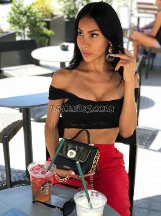 trans girl DALMATS 0926800