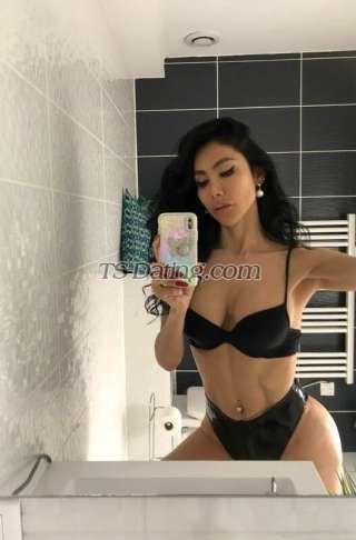 trans girl DALMATS 2051960