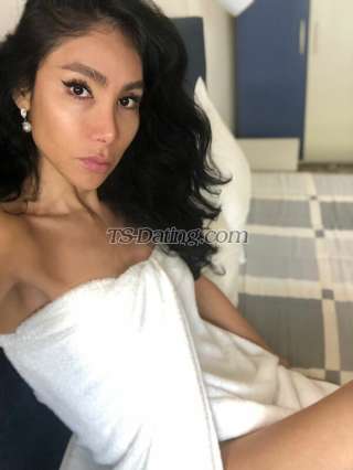 trans girl DALMATS 8636468