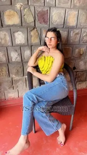 Shemale Daisyqueen 2475253