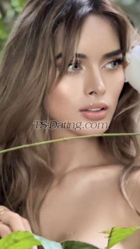 trans girl Daisyrie 6643437 trans girl Daisyrie 6643437