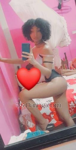 trans girl DalilaSharlo 5612537