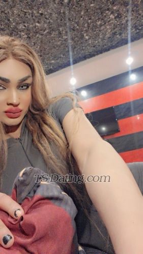 trans girl Dana123 6318969 trans girl Dana123 6318969