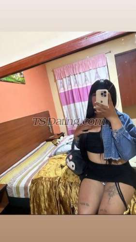 trans girl DanielaGomez 5535882