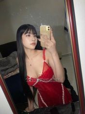 Davikalin Johor Bahru TS escort 