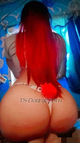 trans girl DeboraCamil 8900157