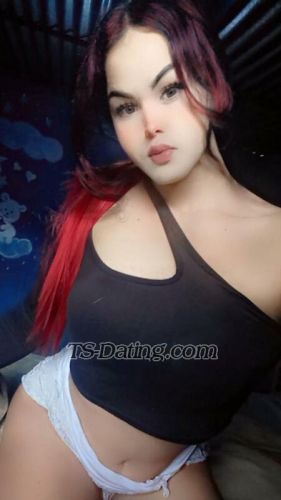 trans girl DeboraCamil 8900186