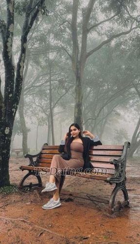 trans girl DesireQueen 8805522