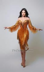 Dhivatrans Singapore TS escort 