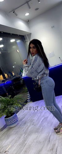trans girl Diana555 3721480
