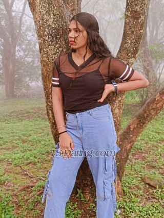 trans girl Dilshadarling 7427413 trans girl Dilshadarling 7427413