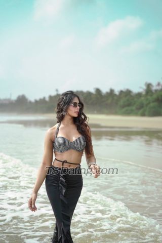 trans girl Dimplee 5927915