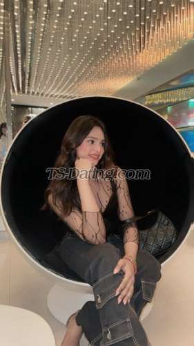 trans girl Dimplee 8030636