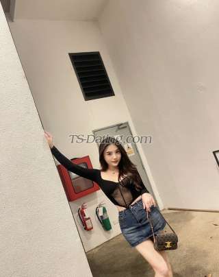 trans girl Dior88 9868985 trans girl Dior88 9868985