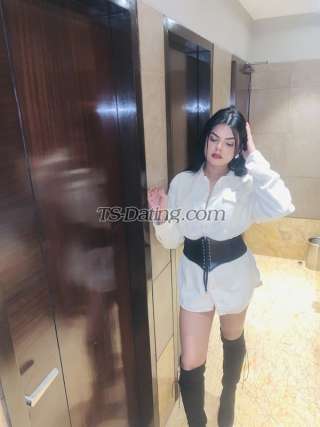 trans girl DivaDua 4377274 trans girl DivaDua 4377274