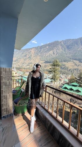 trans girl DivaDua 5172538 trans girl DivaDua 5172538