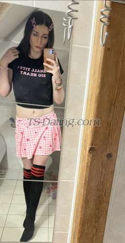 trans girl DollyLove 4243080