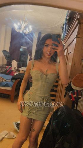 trans girl DolphinPink 6928077 trans girl DolphinPink 6928077