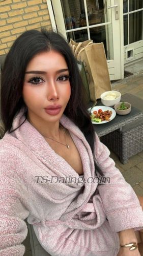 trans girl DolphinPink 7032101