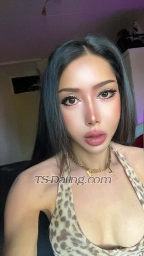 trans girl DolphinPink 7032164